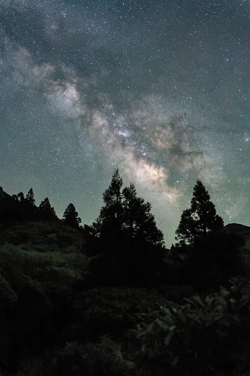 Milky Way in Nature