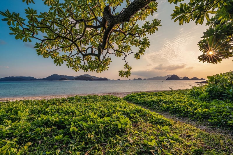 Yoga in nature